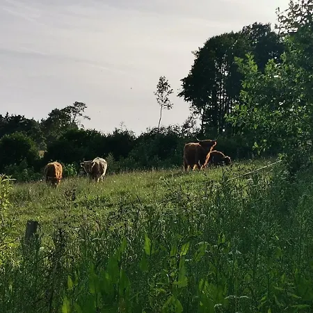 Дом отдыха Adbs *